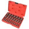 25 Piece Multi-Spline Screw Extractor Set Steel