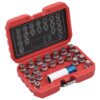 21 Piece Rim Lock Socket Set for BMW