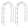 Garden Arch 2 pcs Climbing Plants