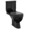 Toilet With Cistern Black
