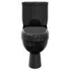 Toilet With Cistern Black