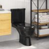 Toilet With Cistern Black