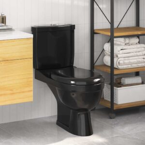 Toilet With Cistern Black