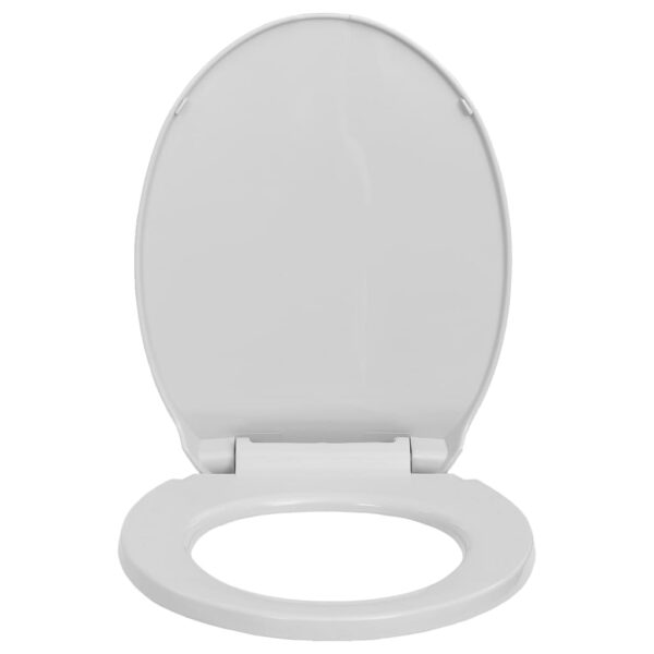 Soft-Close Toilet Seat Light Grey Oval