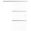 Sliding Door ESG Glass and Aluminium 90x205 cm Silver