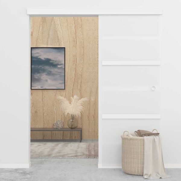 Sliding Door ESG Glass and Aluminium 76x205 cm Silver