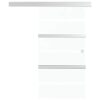 Sliding Door ESG Glass and Aluminium 90x205 cm Silver