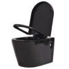 Wall Hung Toilet with Concealed Cistern Ceramic Black