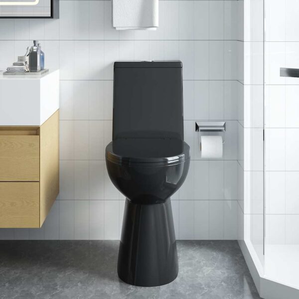 High Rimless Toilet Soft Close 7 cm Higher Ceramic Black
