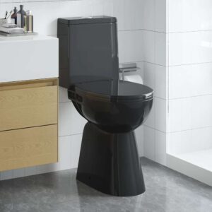 High Rimless Toilet Soft Close 7 cm Higher Ceramic Black