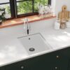 Kitchen Sink with Overflow Hole White Granite