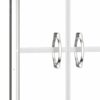 Shower Door Clear ESG 101x190 cm