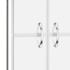 Shower Door Frosted ESG 81x190 cm