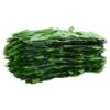 Balcony Screen with Green Leaves 600x100 cm