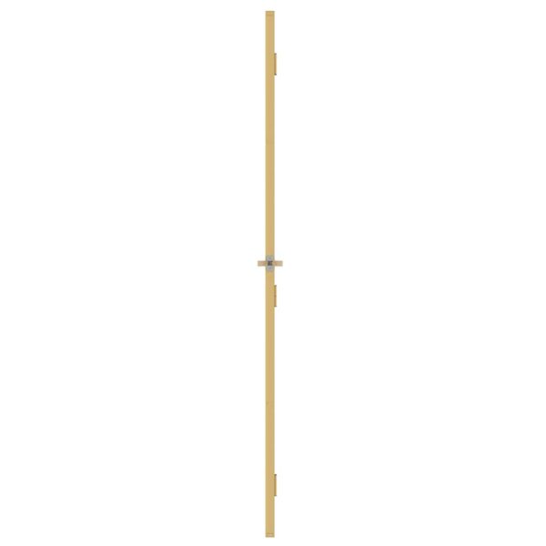 Interior Door Slim Golden 76x201.5 cm Tempered Glass and Aluminium