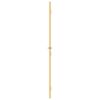 Interior Door Slim Golden 76x201.5 cm Tempered Glass and Aluminium