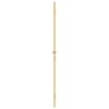 Interior Door Slim Golden 83x201.5 cm Tempered Glass and Aluminium