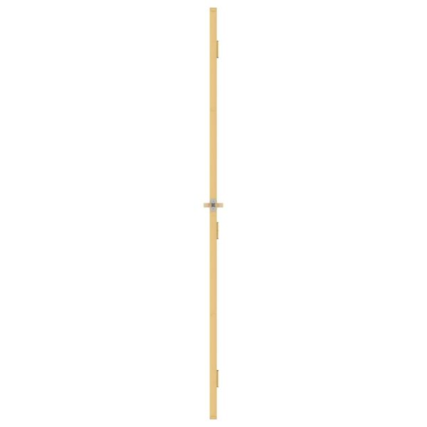 Interior Door Slim Golden 93x201.5 cm Tempered Glass and Aluminium