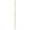 Interior Door Slim Golden 93x201.5 cm Tempered Glass and Aluminium