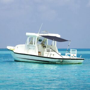 T-Top Shade Extension Blue 170x170x(115-183) cm