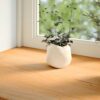 Window Sills 2 pcsa Light Brown 80x25x2 cm Solid Wood Oak