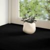 Window Sills 2 pcs Dark Brown 110x30x2 cm Solid Wood Oak
