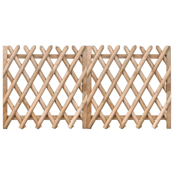 Garden Gates 2 pcs Impregnated Pinewood 300x100 cm