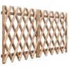 Garden Gates 2 pcs Impregnated Pinewood 300x100 cm