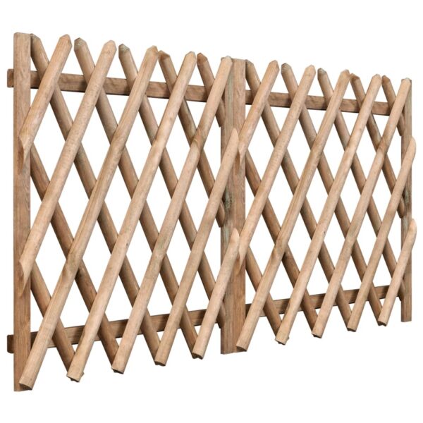 Garden Gates 2 pcs Impregnated Pinewood 300x100 cm