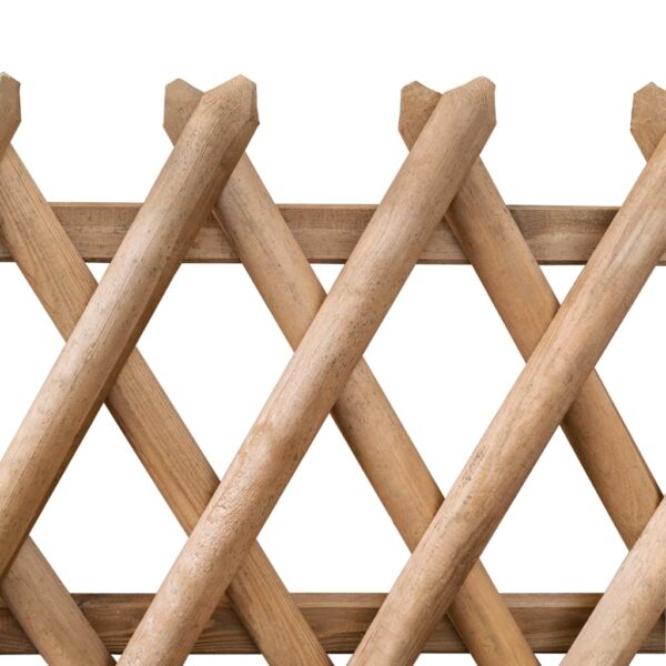 Garden Gates 2 pcs Impregnated Pinewood 300x100 cm