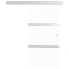 Sliding Door ESG Glass and Aluminium 76x212 cm Silver