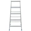 Aluminium Double-Sided Step Ladder 5 Steps 113 cm