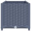 Raised Bed 120x40x38 cm Polypropylene