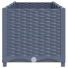 Raised Bed 160x40x38 cm Polypropylene