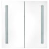 LED Bathroom Mirror Cabinet 62x14x60 cm