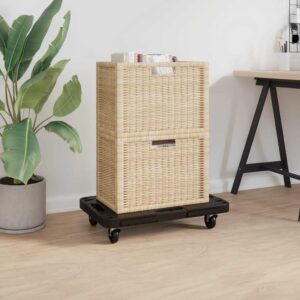 Transport Trolley Black 58x38x12 cm PP
