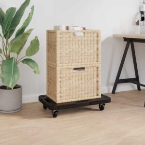 Transport Trolleys 2 pcs Black 58x38x12 cm Polypropylene
