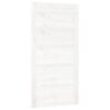Barn Door White 100x1.8x204.5 cm Solid Wood Pine