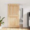 8721012080928_m_en_hd_1.jpg Sliding Door with Hardware Set 100x210 cm Solid Wood Pine