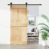8721012082571_m_en_hd_1.jpg Sliding Door with Hardware Set 90x210 cm Solid Wood Pine