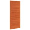 Barn Door Wax brown 100 x 208 cm Solid Pine wood