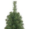 8720286364772_g_en_hd_3.jpg Slim Artificial Christmas Tree with Stand Green 120 cm PVC