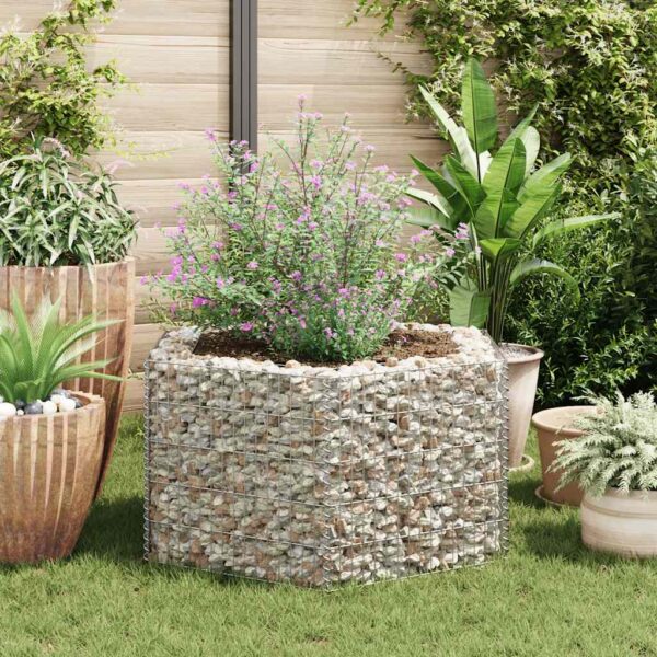 Hexagonal Gabion Raised Bed 100x90x50 cm