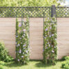 Garden Arch Tower 2 pcs