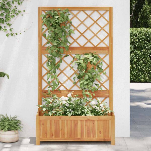 8720286597057_g_en_hd_1.jpg Raised Bed with Trellis 85x38x150 cm Solid Acacia Wood