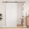 Barn Door White 80 x 2.5 x 208 cm Solid Pine Wood